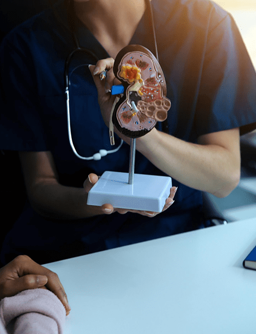 especialidad-en-nefrologia-en-monterrey-nl.png