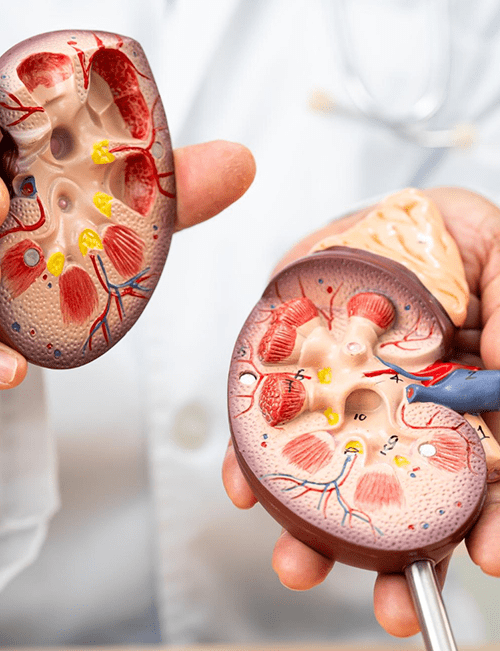 los-mejores-especialistas-en-nefrologia.png