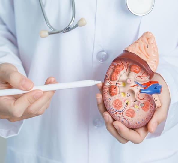 precio-de-consulta-de-cardiorrenal-en-monterrey.jpg